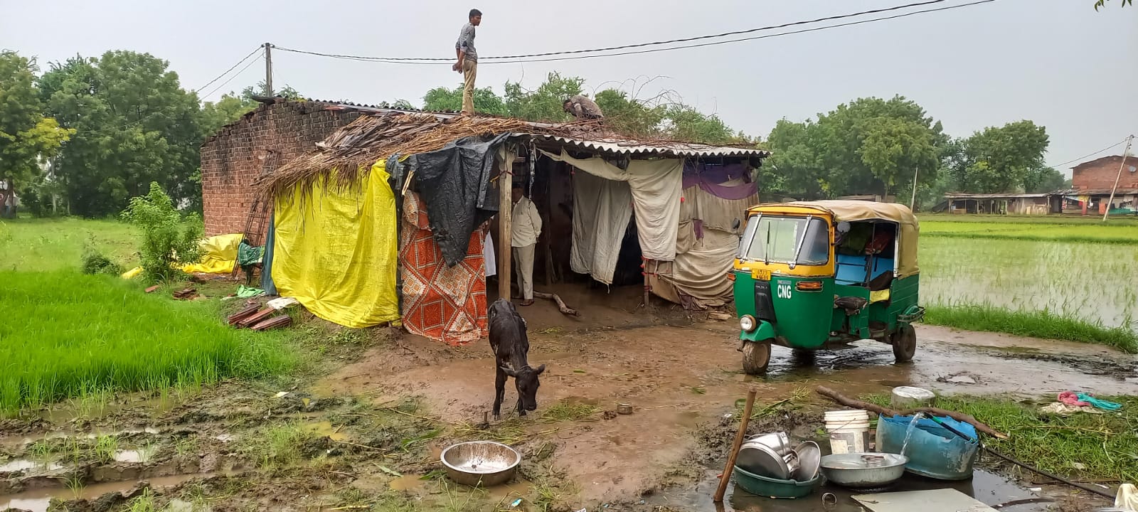 House Repairs gallery 1